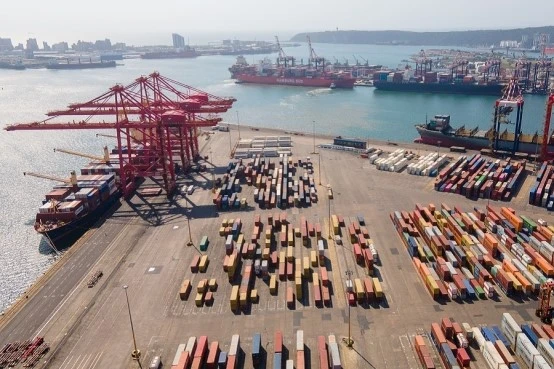 -Sea freight service from Shanghai Port to Durban Port1117